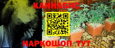 тгк Камышлов