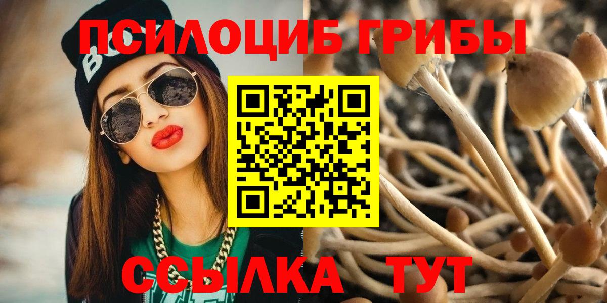 Галлюциногенные грибы Magic Shrooms  Галлюциногенные грибы ЛСД  Вход с VPN  Красноярск 